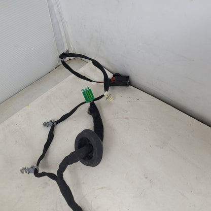 2019 SIERRA150 LH DRIVER REAR CREW CAB DOOR WIRING 25024 - image 11