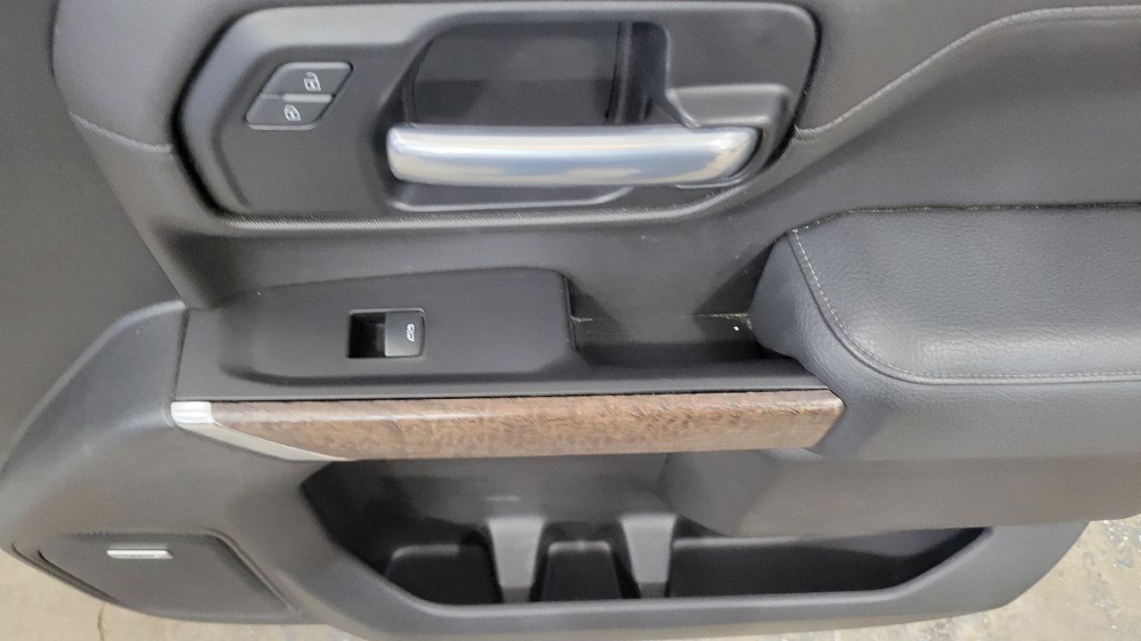 2020 SIERDEN15 RH FRONT DOOR PANEL BLACK DENALI 31493 - image 4