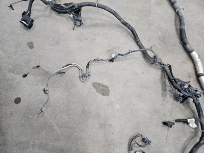 2024 SILVRDO15 ZR2 AT4X FRAME WIRE HARNESS 86582731 31786 - image 7