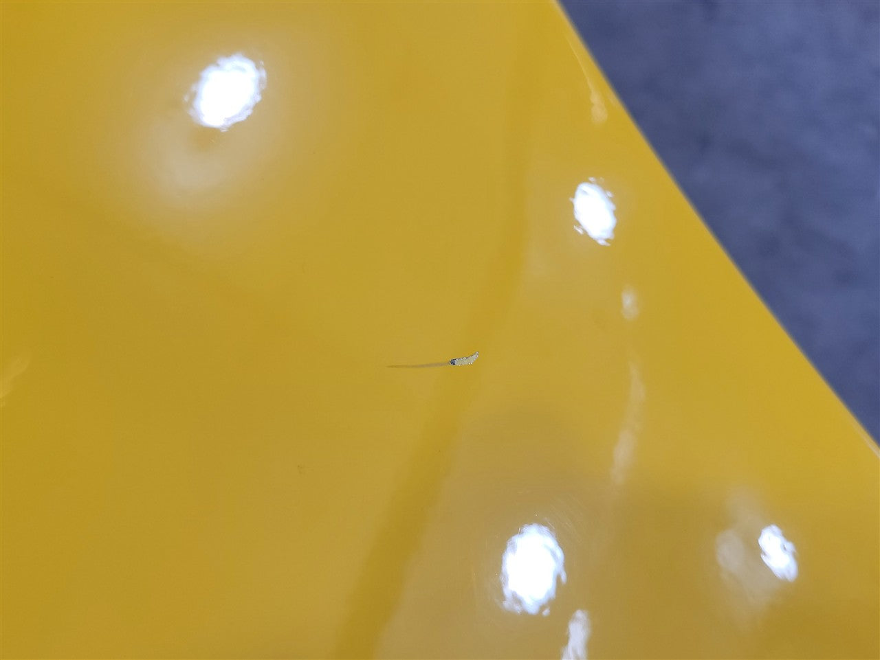 2005 CORVETTE LH DRIVER QUARTER PANEL 000 MILLENIUM YELLOW PAINT CODE 79U / 5593 34031 - image 6