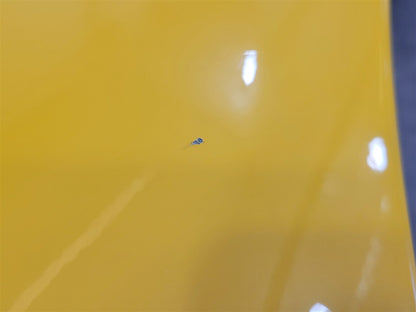 2005 CORVETTE LH DRIVER QUARTER PANEL 000 MILLENIUM YELLOW PAINT CODE 79U / 5593 34031 - image 7