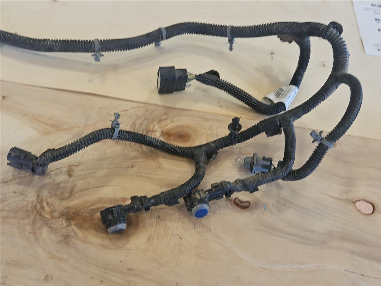 2023 SIERRA REAR BUMPER HARNESS W/PARK SENSORS BLUE GLT 34418 - image 7