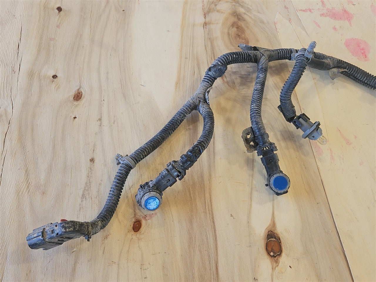 2023 SIERRA REAR BUMPER HARNESS W/PARK SENSORS BLUE GLT 34418 - image 8